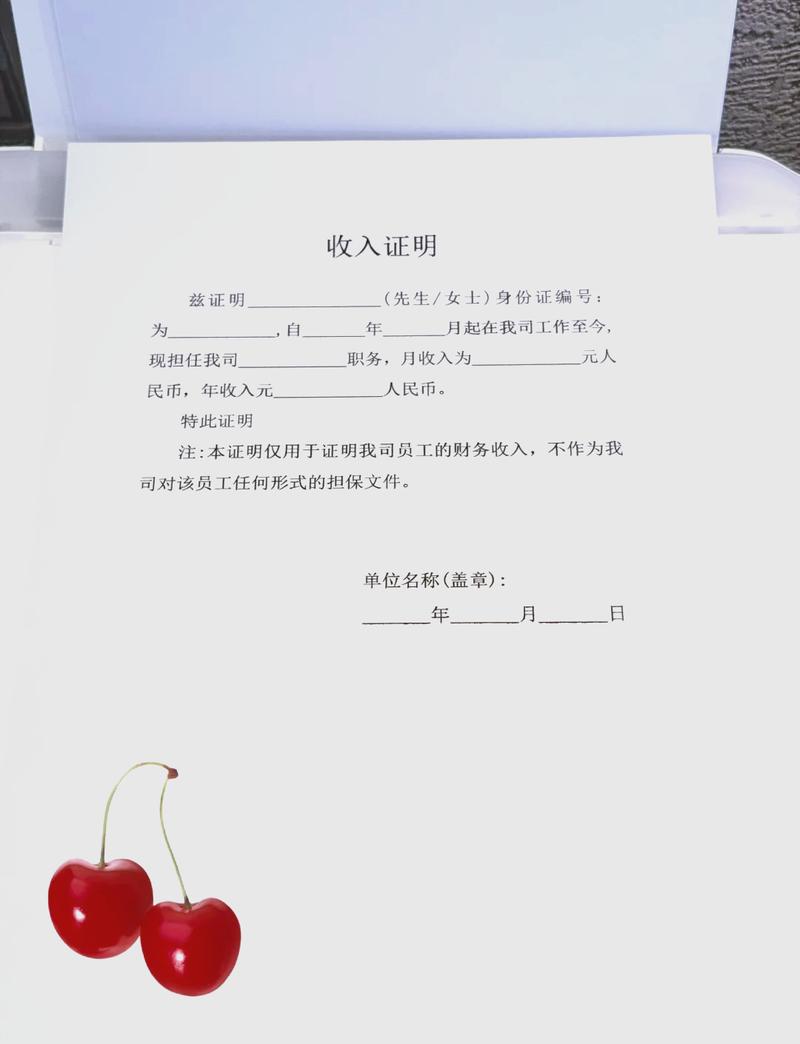 梅州代开收入证明的正确姿势：张会计的突围战